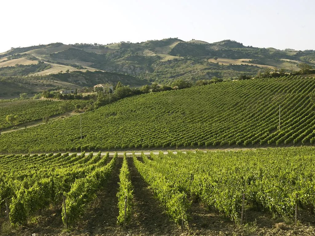 Poderi Firenze Guest House Cinigiano Country house